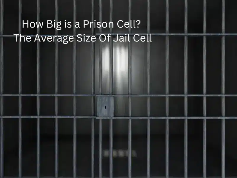 The average size of a prison cell in different countries. 